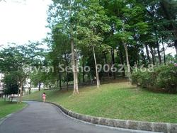 Blk 605 Choa Chu Kang Street 62 (Choa Chu Kang), HDB Executive #86078092